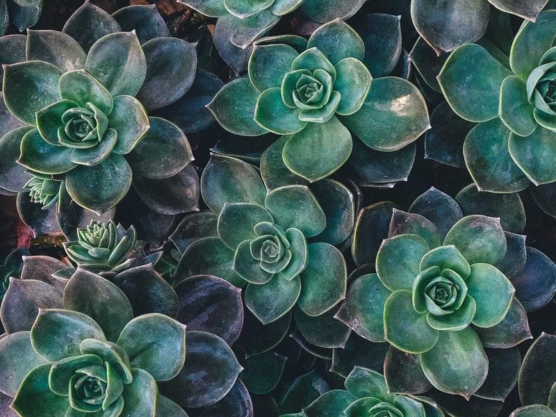AI-Driven Inventory Optimization for Small Retailers